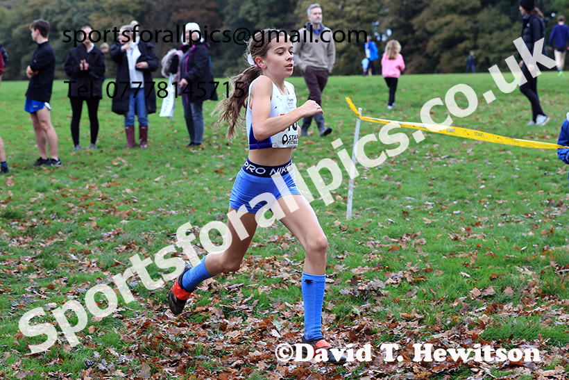 Girls under-13s, 2024 Northern Cross Country Relays, Graves Park, Sheffield.   Photo: David T. Hewitson/Sports for All Pics